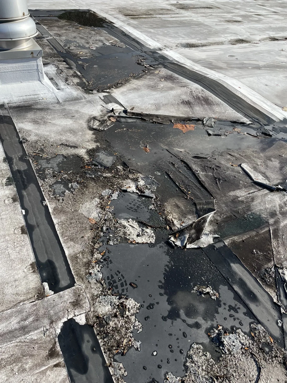 Fire Damage Roof Repair in Richmond, CA