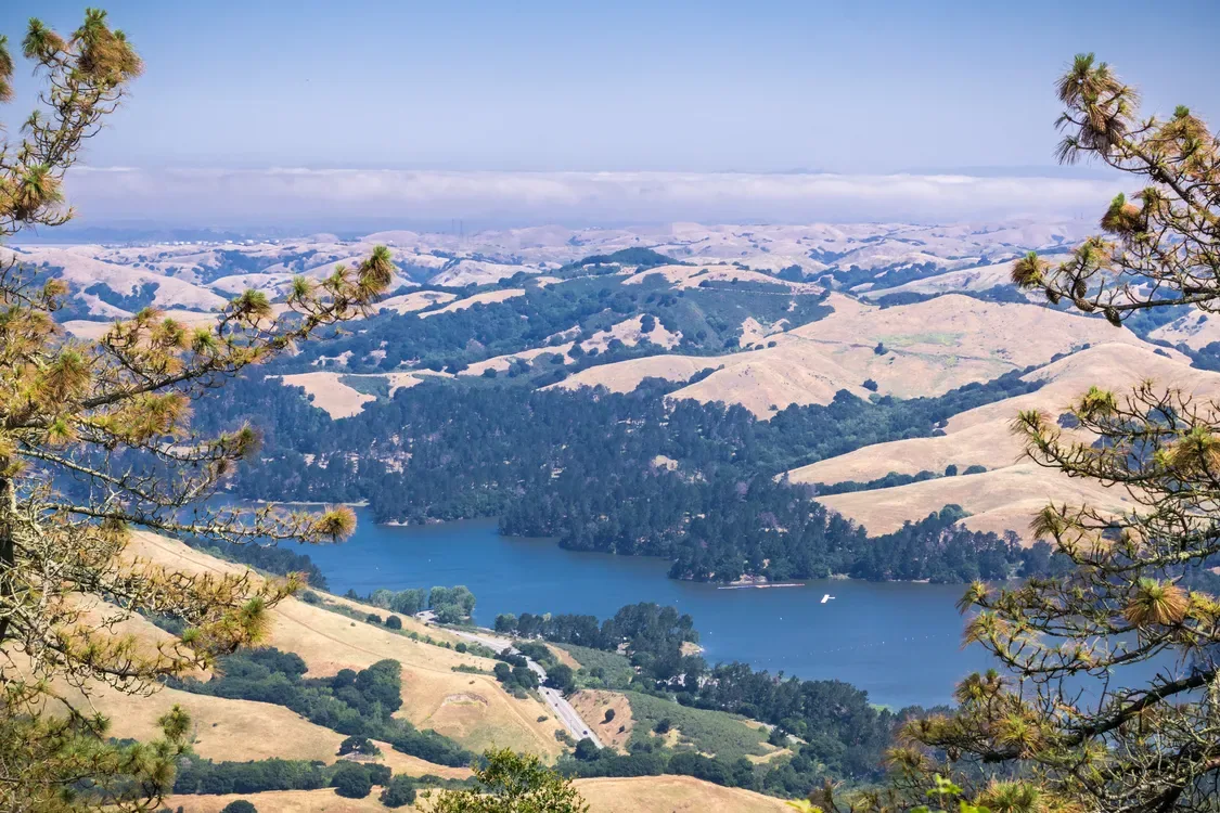 Commercial Roof Repair in Pinole, CA