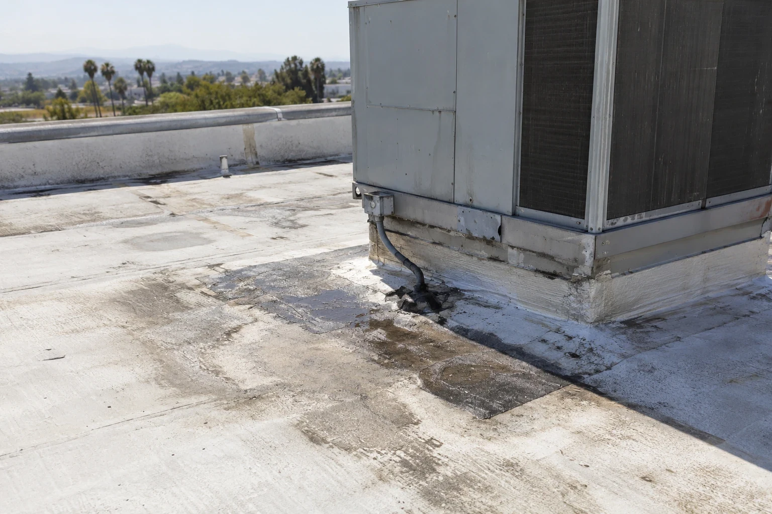 Commercial Roof Leak Repair in Richmond, CA